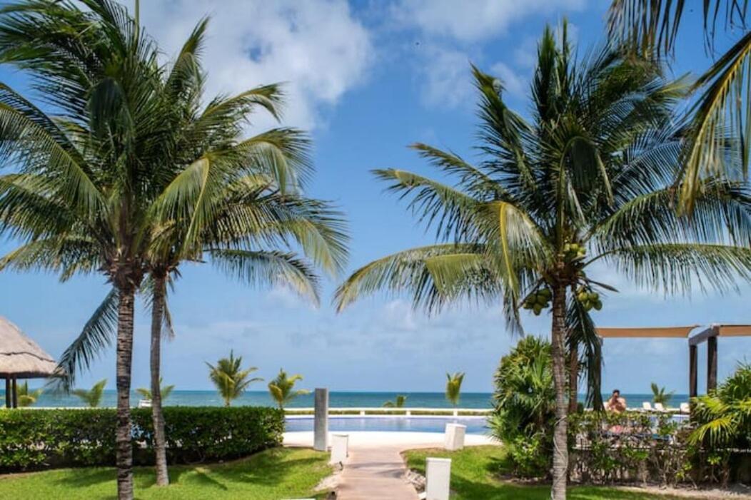 Apartment Coral Beachfront 2bdr With Pool By Casa Paraiso *